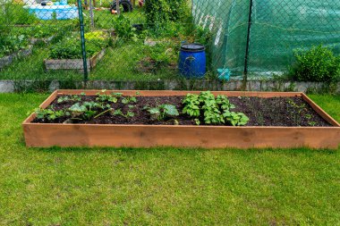 Bahçedeki çimlerin üzerinde duran çeşitli sebzelerle dolu ahşap bir sandık..