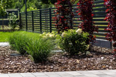 Evin önündeki bahçede çam kabuğu, görünür çitler ve foseptik tankı..