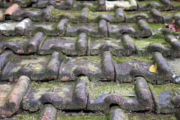 Clay roof with moss of Sendangsono shrine in Java. Taken in July 2022