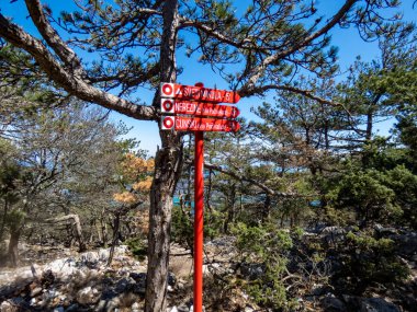 Hırvatistan 'ın Losinj adasındaki Osorcica dağından adalara ve denize güzel manzaralar. 