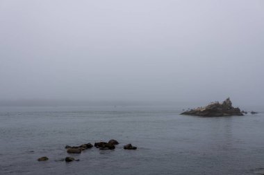 Rocks in the ocean with birds perched on top