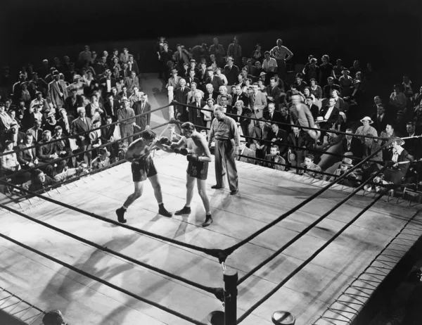Maç sırasında boks ringinde duran erkek dövüşçülerin yüksek açılı görüntüsü