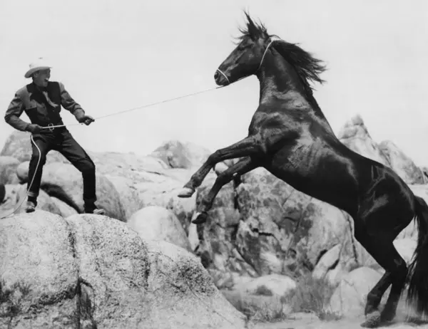 Cowboy Controlerend Paard Met Touw Terwijl Hij Rotsen Staat 521 Stockfoto