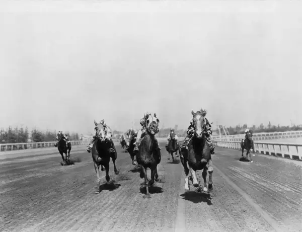 Jockeyer Ridning Hästar Loppet Solig Dag — Stockfoto