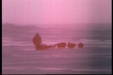 Dikiz eskimo tarafından kızak köpekleri gün batımına doğru sürme çektim
