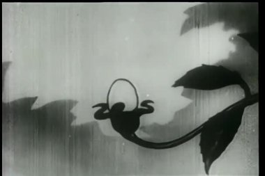 karikatür bir çiçek evrimi