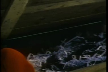 Over--omuz atış kişinin sandığa silahı bulma