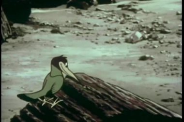 ağaçkakan kırma Gaga taşlaşmış orman ağaç gövdesi üzerinde