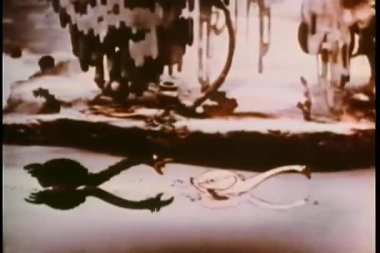 Siyah Kuğu kovalayan beyaz kuğu