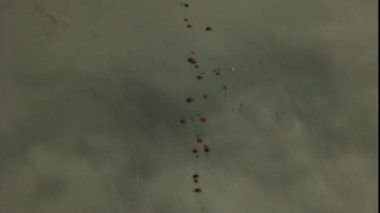 insan iskeleti için önde gelen kapıdan kattaki kan izi kaydırma