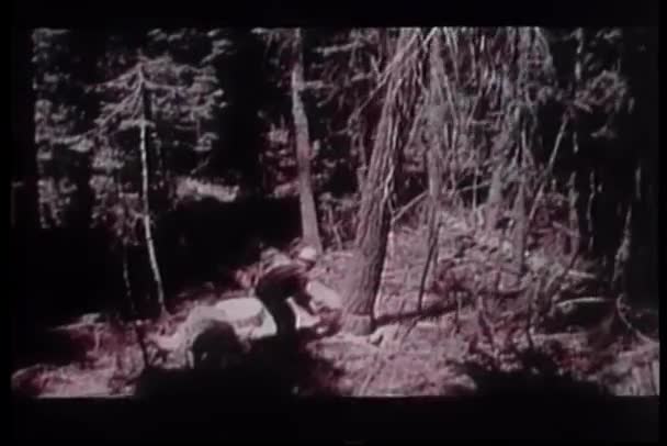 Ormandaki Ağaçlar Aşağı Kesme Oduncular — Stok video