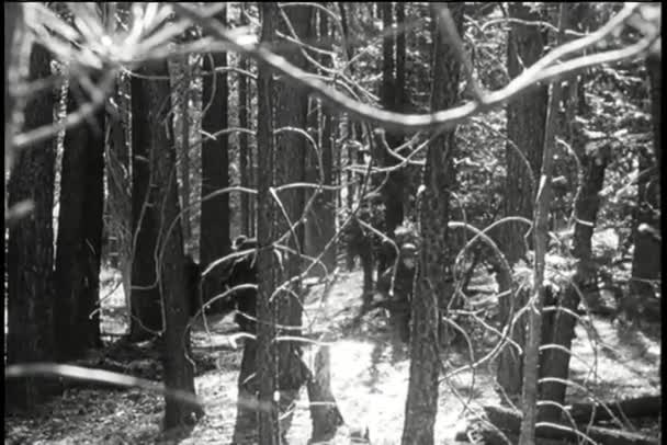 兵士たちは慎重に森の中を歩いている — ストック動画