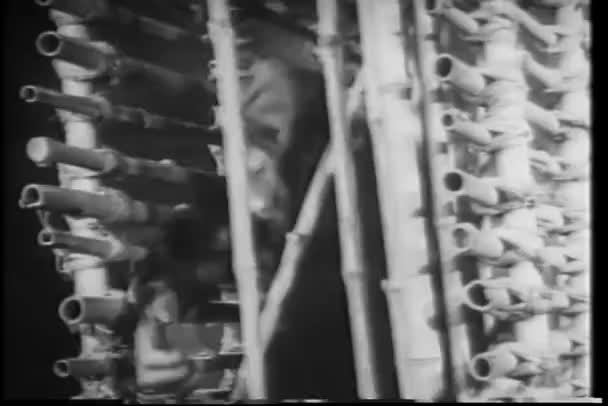 Affe Entkommt Aus Käfig — Stockvideo