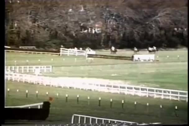 Långskott Häst Faller Hinder Race — Stockvideo