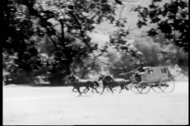 Panning Shot Stagecoach Racing Countryside 1930S — Stock Video