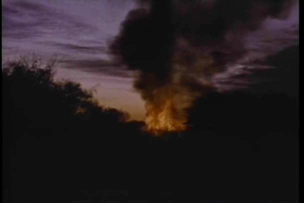 Explosion Vue Grand Angle Dans Les Bois Coucher Soleil — Video