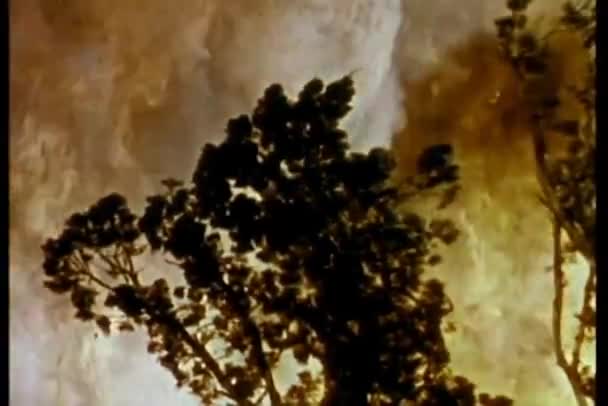 Пожежа Лісі Стихійне Лихо — стокове відео