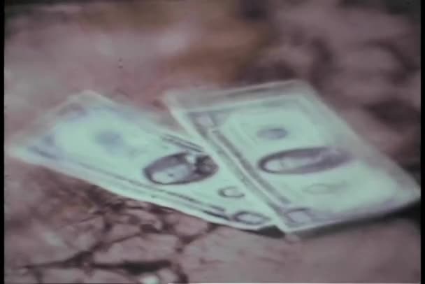 Deux Billets Cent Dollars Transforment Livre Blanc — Video