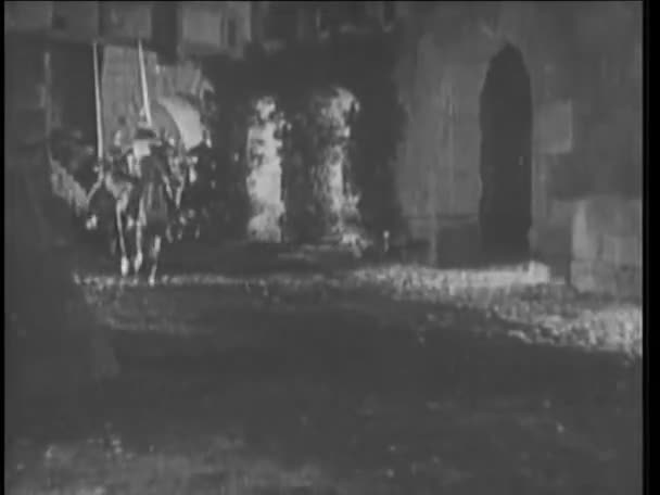 Всадники Лошадях Оружием Ночью — стоковое видео