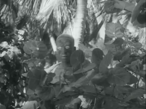 Середній Знімок Зомбі Ходить Лісі 1970 — стокове відео