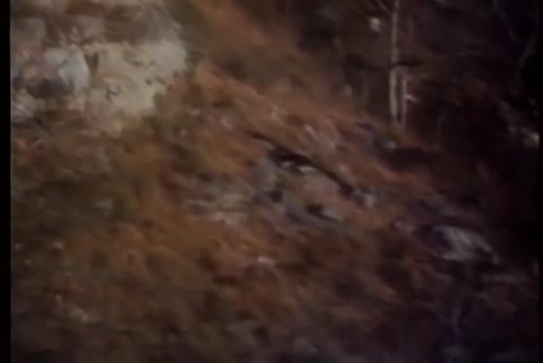 Γεράκι Που Πετάει Στην Πλαγιά Του Βουνού Αργή Κίνηση — Αρχείο Βίντεο