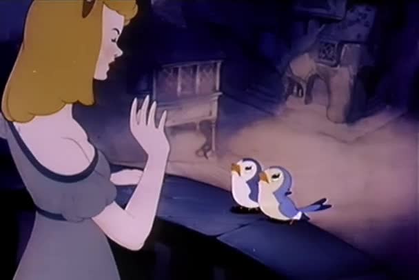 Kreskówka Oglądanie Ptaków Teardrops Kobiety Wchodzą 1930 Roku — Wideo stockowe