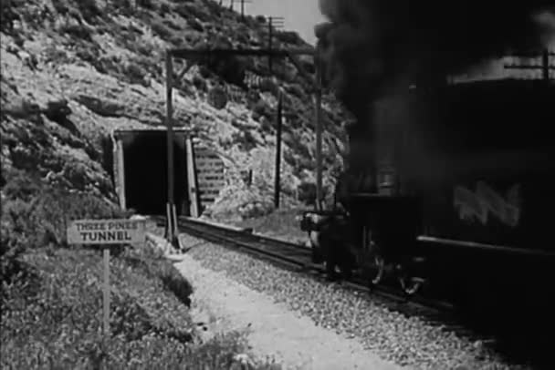 Recreation 1860S Locomotive Entering Tunnel — Stock Video