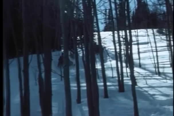 Mensen Sneeuwscooter Beboste Helling — Stockvideo