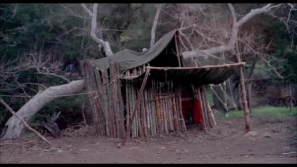 Yapımı Bomba Patlayan Inç Döken Ağaçların Arasında 1970 Lerde — Stok video