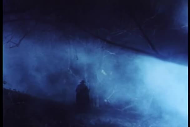Rückansicht Eines Mannes Der Nachts Nebel Wandelt — Stockvideo