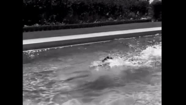Άνθρωπος Που Κολυμπά Στην Πισίνα Στο Παρασκήνιο Κοντινό Πλάνο — Αρχείο Βίντεο