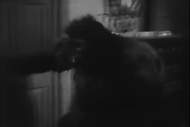 1950 年代の家を残してゴリラのスーツを着た男 — ストック動画