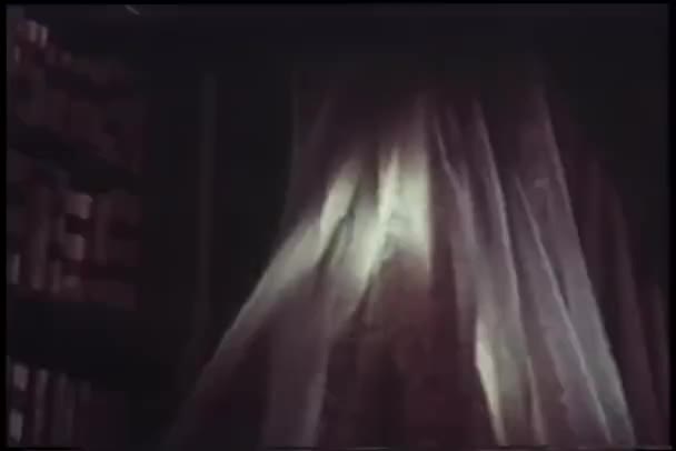 Esen Rüzgar Perdesi Penceresinde — Stok video