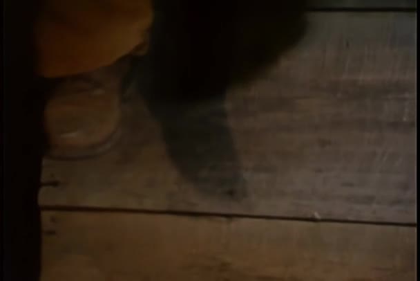 Nahaufnahme Eines Erhängten Mannes Dessen Füße Der Luft Baumeln — Stockvideo