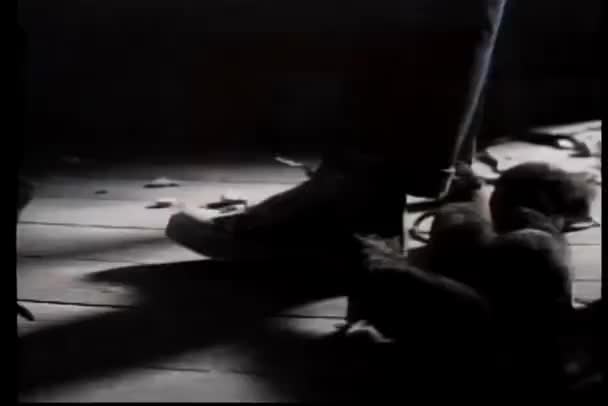 ラット暗い部屋での足の周りをクロール — ストック動画