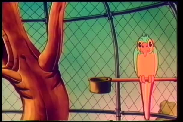 Vintage Cartoon Animation Talking Parrot — Stock Video