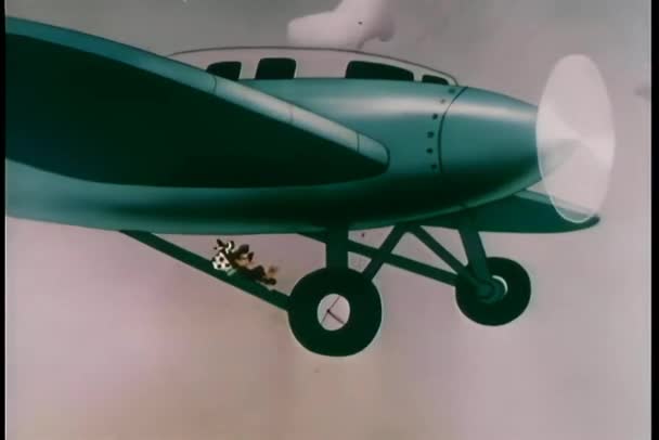 Tekenfilm Animatie Van Verstekeling Vogel Het Vliegtuig — Stockvideo
