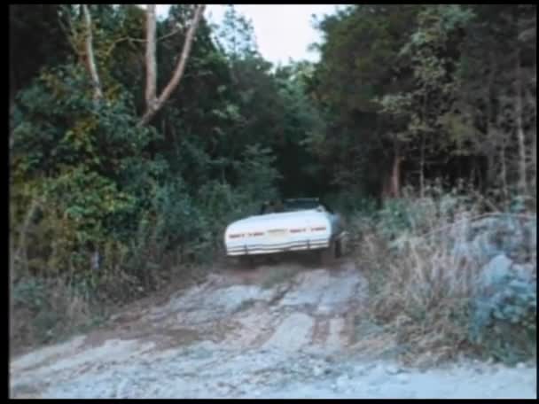 森の中に汚れの道を転換運転の男 — ストック動画