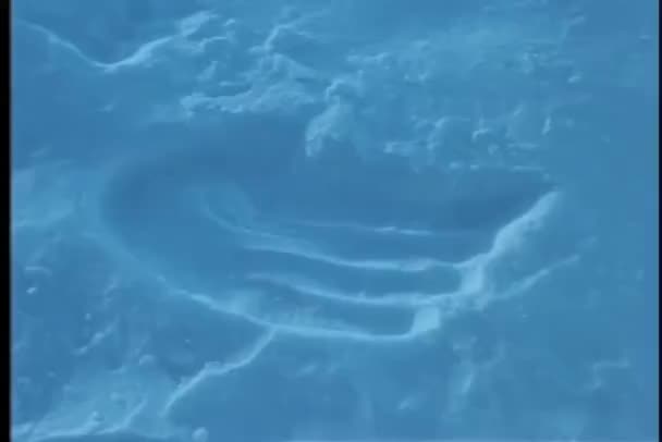 Primo Piano Delle Impronte Zampe Giganti Sulla Neve — Video Stock