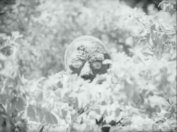 Средний Снимок Зомби Выходящего Кустов 1970 — стоковое видео