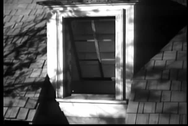 Fledermäuse Fliegen Aus Dachbodenfenster — Stockvideo