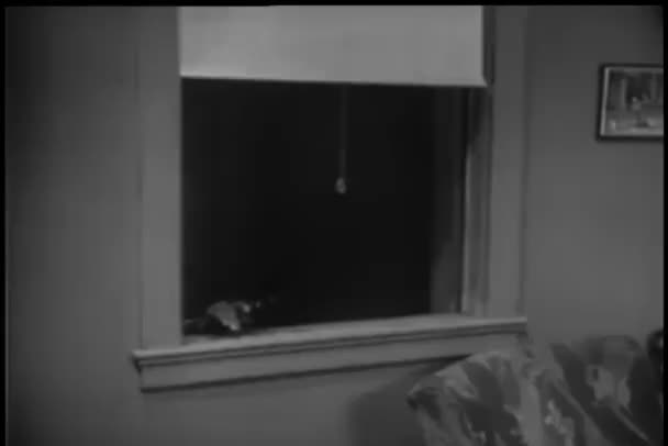 Criminal Breaking House Window — Stock Video