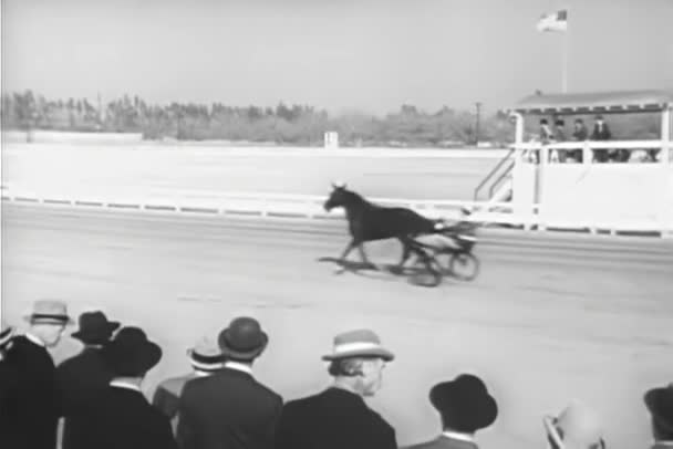 Spectators Watching Warm Harness Race — Stock Video