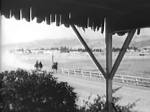 Cavalos Correndo Pistas Enquanto Espectadores Assistindo Los — Vídeo de Stock