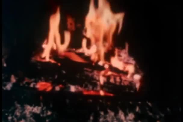 Masih Hidup Api Unggun — Stok Video