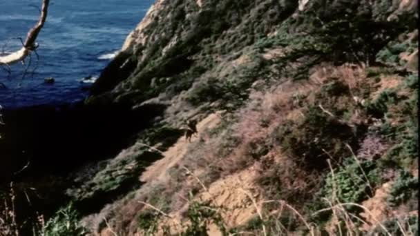 Mann Reitet Durch Berge Meer — Stockvideo
