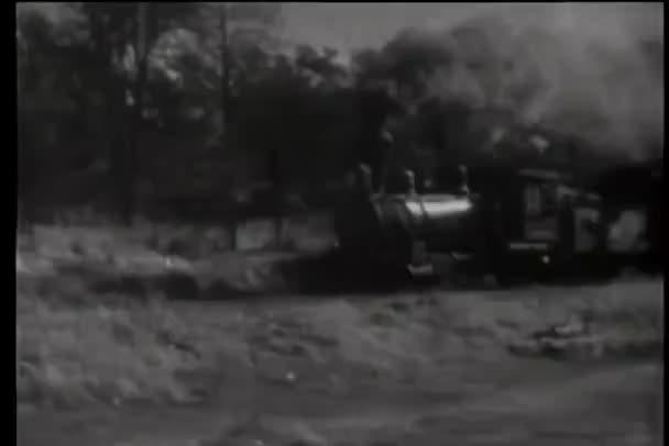 Locomotive Vapeur Traversant Campagne — Video