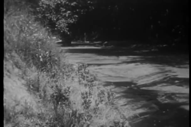Samochód Wyłączenie Polna Droga Ukrycia Się Przed Policją 1940 Roku — Wideo stockowe