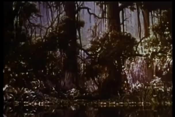 Široký Záběr Gazely Běh Lesem — Stock video