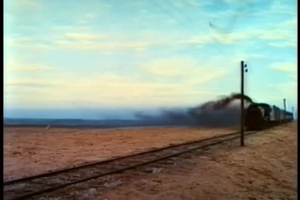 鉄道トラックを走る蒸気列車 — ストック動画